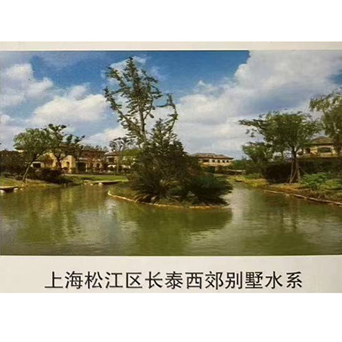 上海松江區(qū)長泰西郊別墅水系